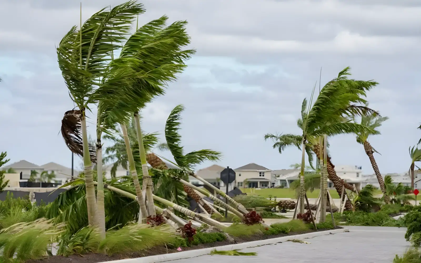 Storm damage cleanup at a commercial property in Tampa
