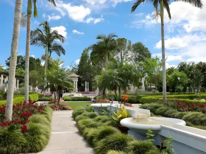 Manicured commercial gardens with palms, clipped hedges and flower beds in Tampa