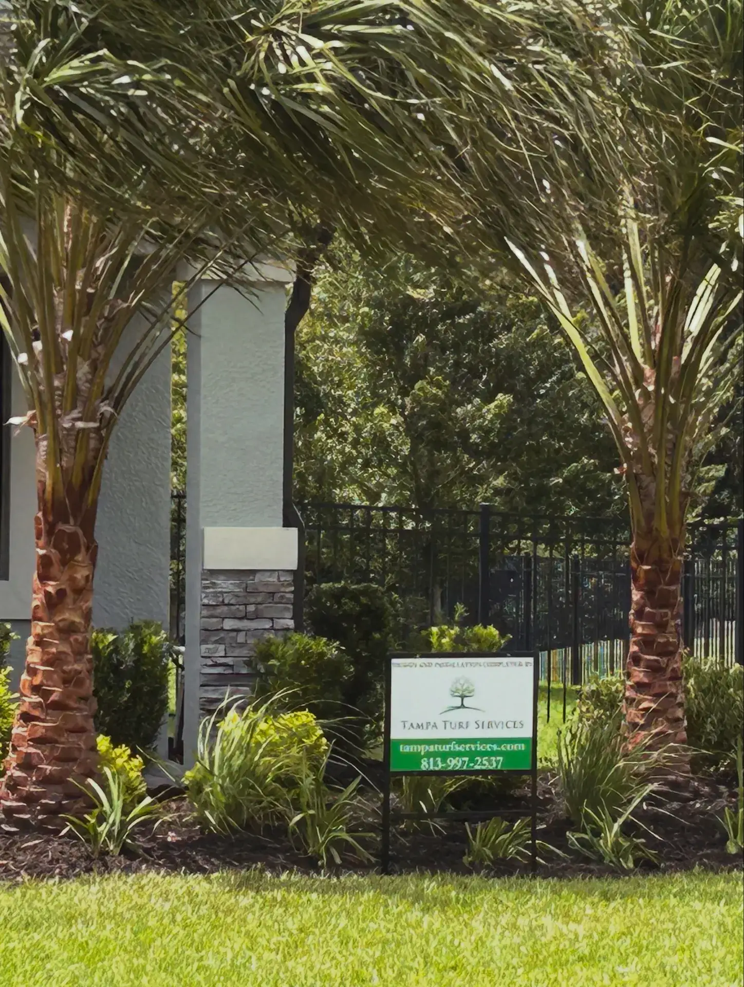 Palm and bed installation completed at a Tampa home