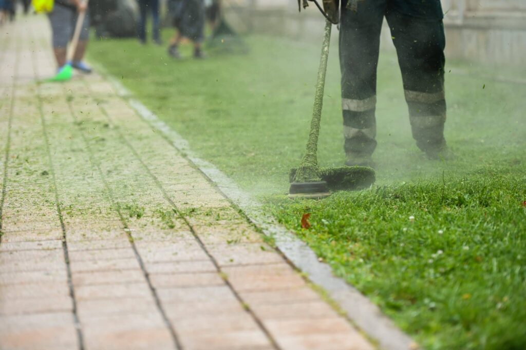 Comprehensive-Mowing-Section-min-scaled
