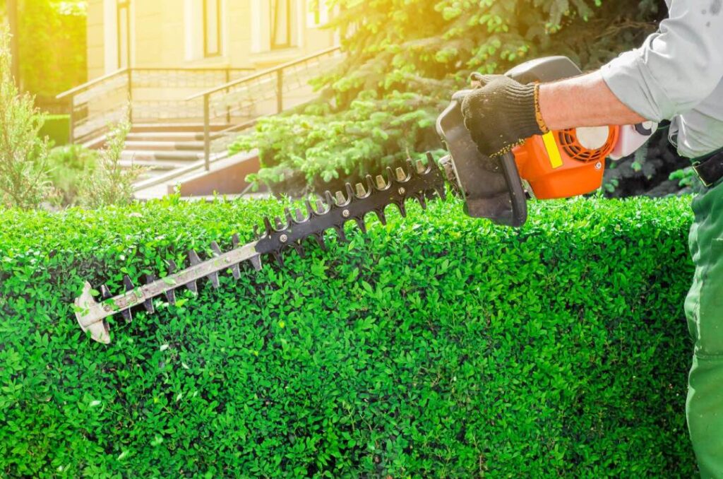 Expert-Pruning-min-scaled-1