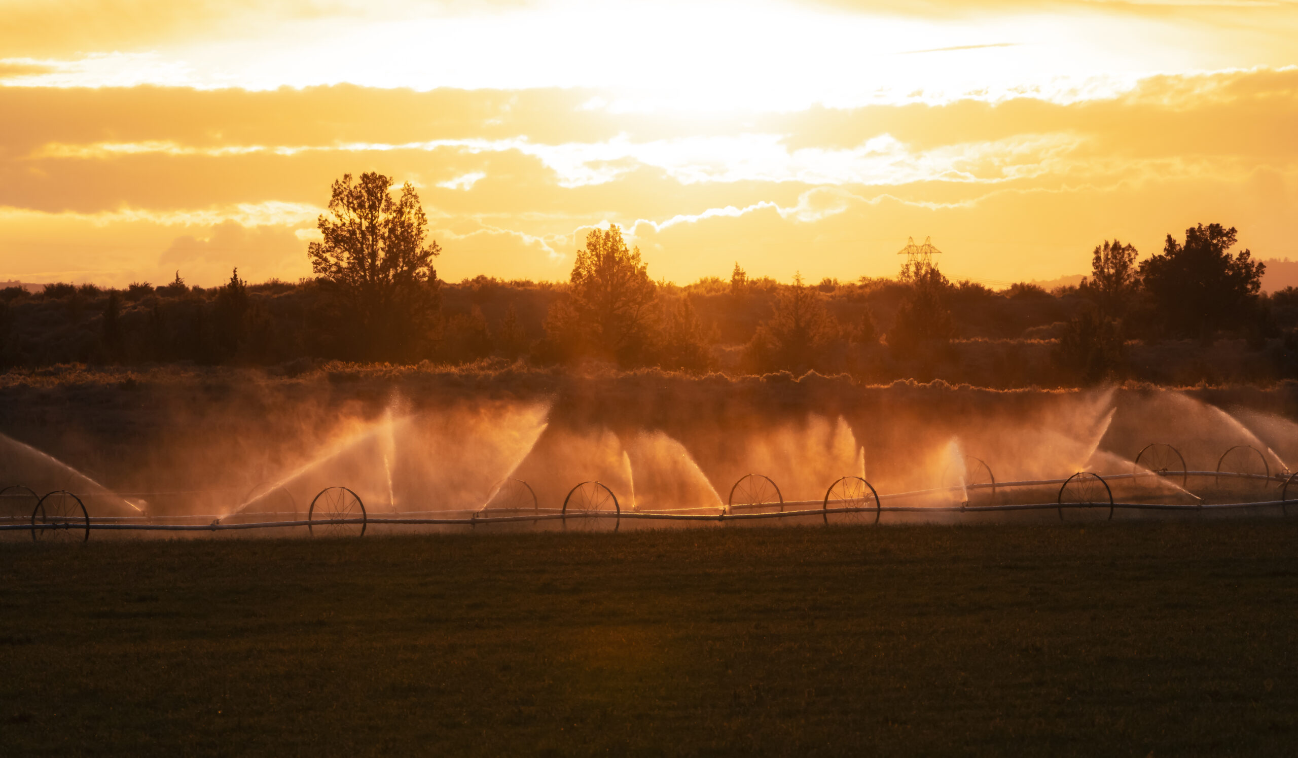 Is Irrigation Important to Your Landscaping?