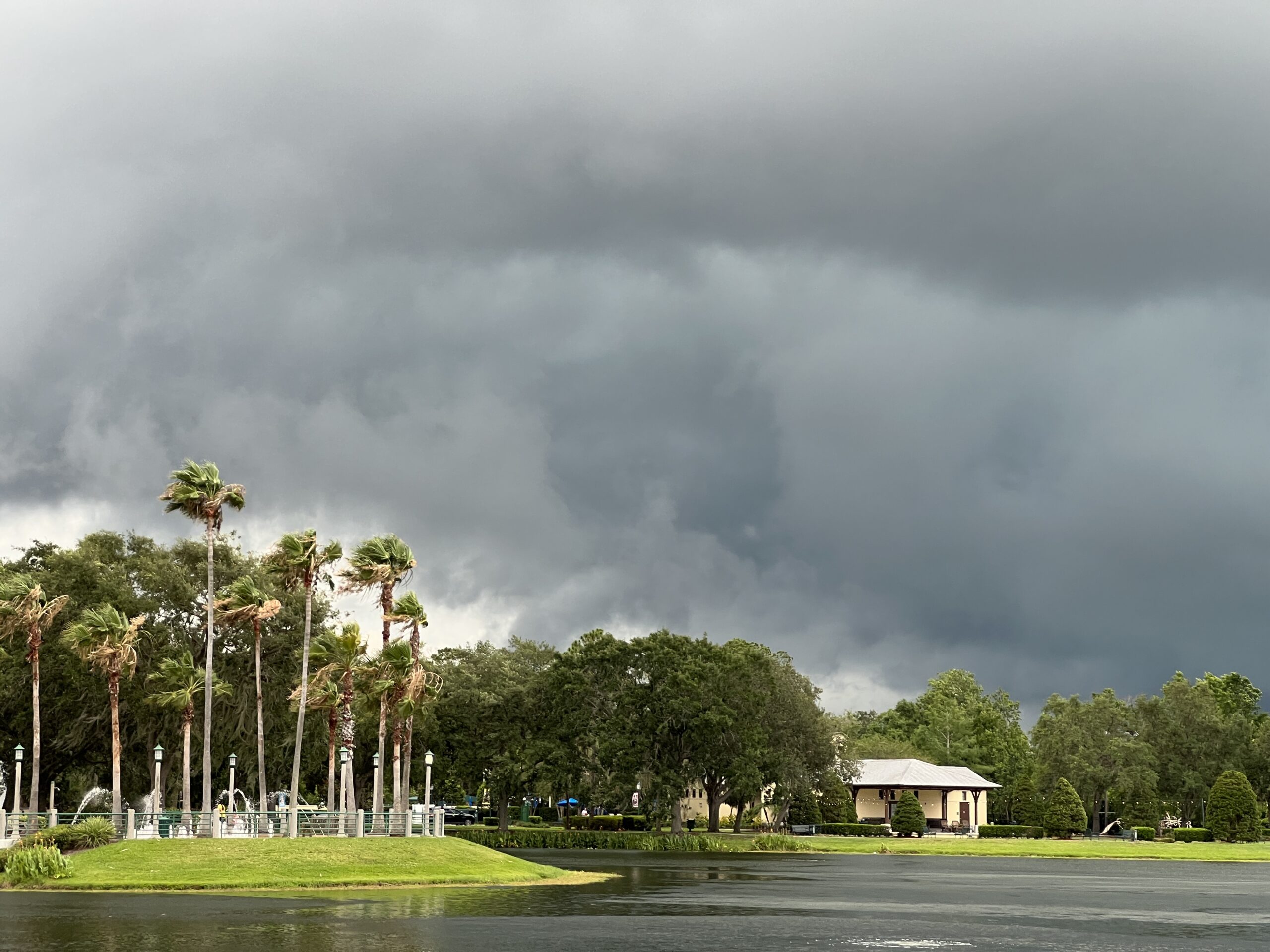 How to Prepare Your Tampa Landscape for Hurricane Season